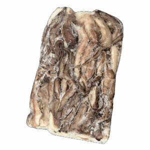 JIBIA REPRODUCTOR RAMAL